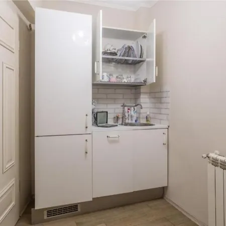 Oasis Penthouse On Calea Victoriei Appartement
