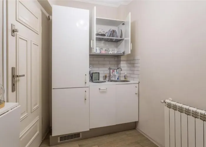 Oasis Penthouse On Calea Victoriei Апартаменти